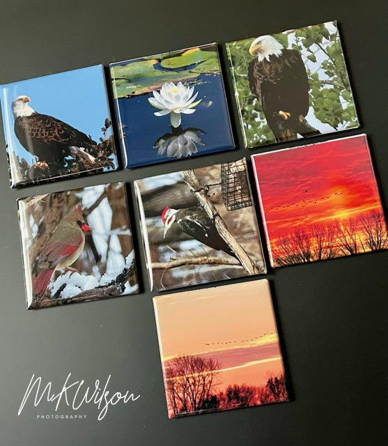 Custom Photo Magnets