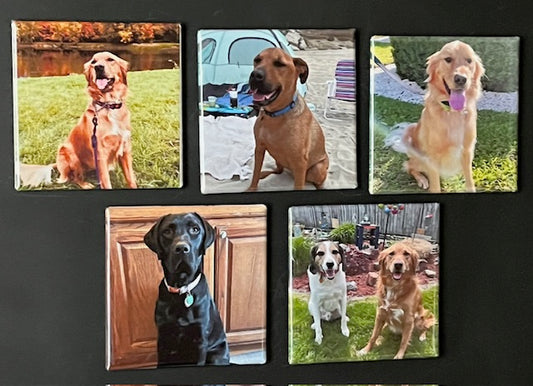 Custom Photo Magnets